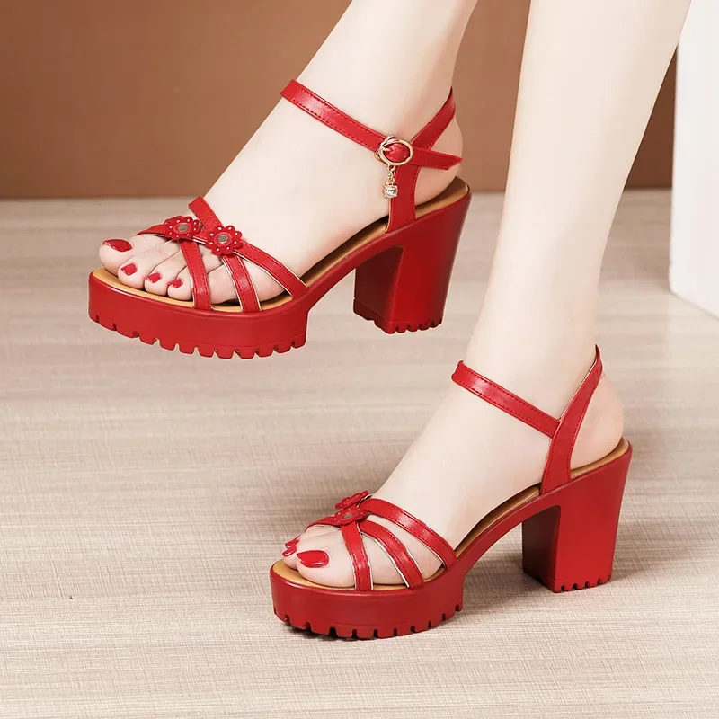 8cm Small Size 32-43 Elegant F - Women Shoes Model ulasan dan harga