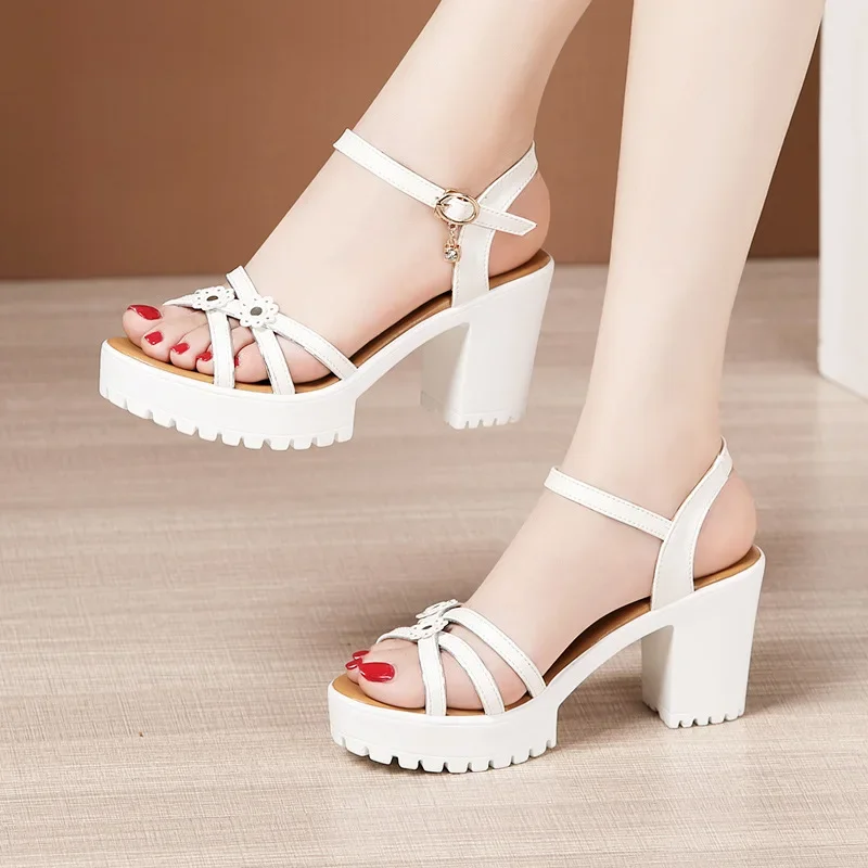8cm Small Size 32-43 Elegant F - Women Shoes Model ulasan dan harga